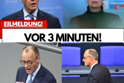 MACHTPOKER AM ABGRUND: WIE MERZ’ BLOCKADE GEGEN DIE AFD EINE BÜRGERLICHE MEHRHEIT VERHINDERT UND DEUTSCHLAND IN DAS POLITISCHE CHAOS STÜRZT
