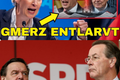 DER EKLAT DES JAHRZEHNTS: GERHARD SCHRÖDER BRICHT DAS SCHWEIGEN UND ENTHÜLLT DIE DUNKLE WAHRHEIT HINTER DER MACHT VON FRIEDRICH MERZ