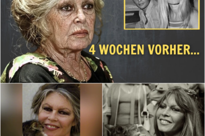 Brigitte Bardots letzter Vorhang: Eine Legende nimmt Abschied und hinterlässt eine erschütternde Botschaft an die Welt