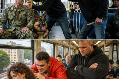 Zwei Männer belästigen einen stillen Fremden und seinen Hund Seine wahre Identität schockierte alle!