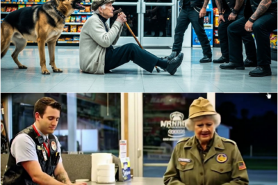 Die 90-jährige Veteranin wird von Bikern schikaniert, bis ihr Hund einen schockierenden Anruf tätigt