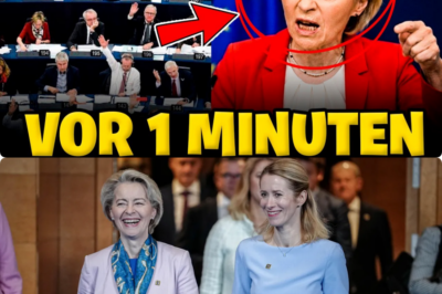 Der Kanzler sieht rot: Friedrich Merz stürmt Weidel-Pressekonferenz und sorgt für historischen Eklat