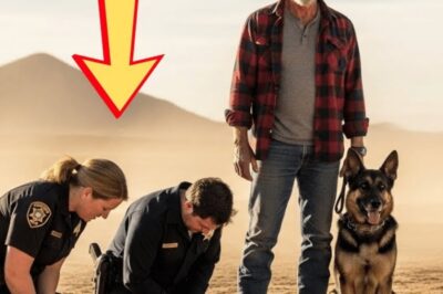 Sein Hirte schleifte ihn zu einem brüchigen Bergrücken – was 30 Jahre gewartet hatte, brach ihm das Herz