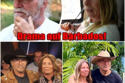 Nach Fan-Wut und Betrugs-Vorwürfen: Der skandalöse Grund für den geplatzten Traumhaus-Kauf der Reimanns auf Barbados