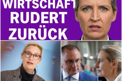 Die Brandmauer wankt: Der schockierende Testballon der Wirtschaftselite und die Lektion, die Deutschlands Demokratie erteilte