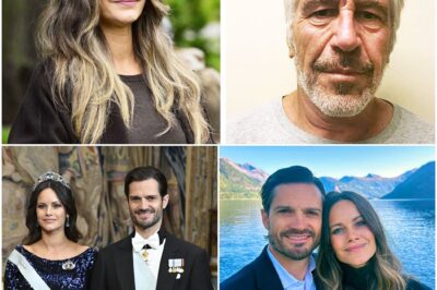 Schwedens Monarchie im Epsteinsog: Die schockierende Doppelrolle der Mentorin, 160.000 Euro und die „wenigen Gelegenheiten“ mit Prinzessin Sofia