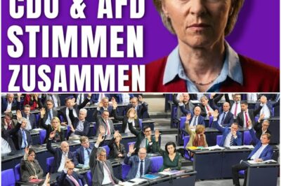 Der Fall der Brandmauer in Brüssel: EU beschließt radikale Abschiebungen in Drittstaaten mit Stimmen von CDU und AfD