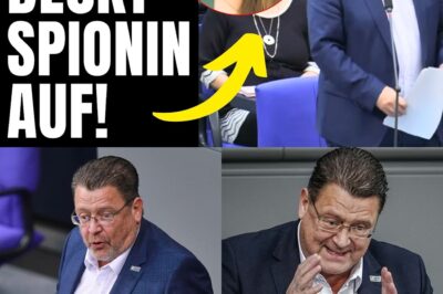 „Sie heißen doch Krawallstein auf X!“ – Stephan Brandner entlarvt SPD-Doppelmoral und bringt den Bundestag zum Kochen