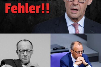 „Der größte Fehler seiner Karriere?“ – Merz‘ Zugriff auf russische Milliarden könnte Deutschland in den Ruin treiben