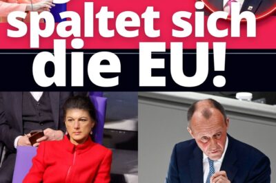 „Krieg ist Frieden“ – Merz‘ riskantes Milliarden-Spiel spaltet die EU und bedroht den deutschen Steuerzahler