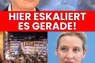 „Die Hölle los in Stuttgart“ – Weihnachtsbaum-Verbot im Landtag und Macheten-Wahnsinn: Deutschland im freien Fall!