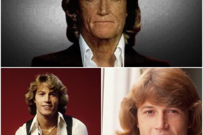 Das verstummte Herz: Aufstieg, tiefer Fall und das tragische Ende des Poptitans Andy Gibb