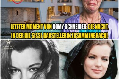 Romy Schneiders letzter Atemzug: Die einsame Wahrheit über die Nacht, in der “Sissi” an einem gebrochenen Herzen starb