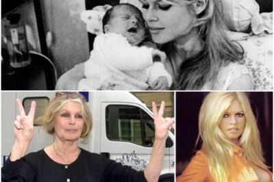 Abschied von einer Legende: Brigitte Bardot (†91) – Der einsame Kampf gegen die Mutterrolle und die tragische Wahrheit über ihren verlorenen Sohn