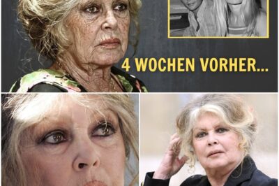 Brigitte Bardots letztes Vermächtnis: Ein einsamer Abschied, eine schockierende Beichte und die Wahrheit über ihren goldenen Käfig