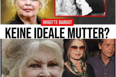 Gefangen im eigenen Mythos: Die brutale Wahrheit über Brigitte Bardots Ehe, Mutterschaft und ihre Flucht in die Einsamkeit