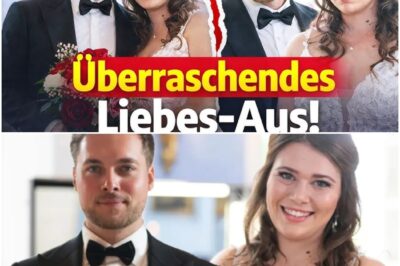 TV-Drama nach dem Finale: Michelle bricht ihr Schweigen nach dem bitteren Ehe-Aus mit Marlon – „Habe mich kaum wiedererkannt“
