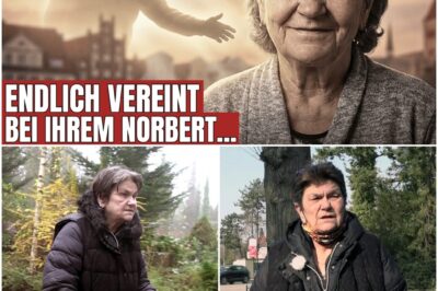 Abschied von einer Legende: Reginas einsamer Kampf, der Fluch von Rostock und die rührende Wiedervereinigung mit ihrem Norbert