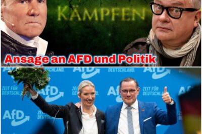 Bohlen & Kunze: Die große Abrechnung mit der Ampel, dem “Gender-Wahn” und der politischen Unfähigkeit