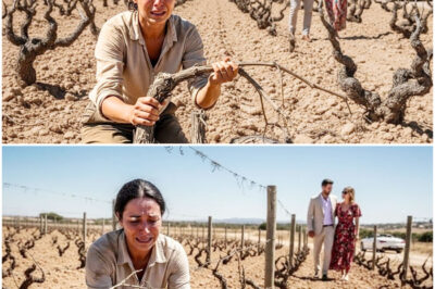 Er hinterließ ihr einen kargen Weinberg… Jahre später erwirtschaftete ihr Weingut Millionen von Dollar Umsatz.