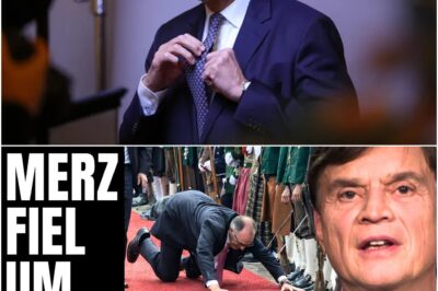 UND PLÖTZLICH FIEL MERZ UM! – AFD bestätigt gerade den Bruch der Regierung!