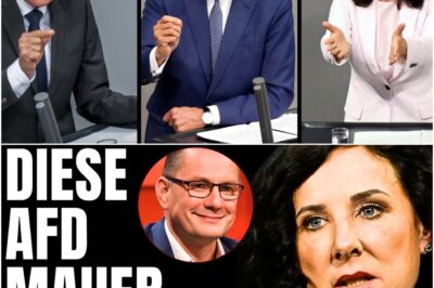 ,,Lasst Tino in Ruhe!” Plötzlich verteidigt Richterin AFD und hat Nase voll von AFD BRANDMAUER!
