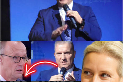 Brutale Live-Abrechnung im Bundestag: Martin Hess entlarvt die gefährliche Doppelmoral von Kanzler Merz – Als dieser Geheimbericht enthüllt wird, bricht beim Kanzler Panik aus und das gesamte Parlament erstarrt!