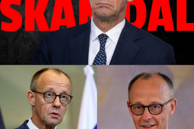 Blackout-Schande in Berlin: Tausende frieren, Bürgermeister Wegner im Homeoffice – Lügen, Chaos und das Versagen der Energiewende