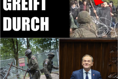 Drastischer Kurswechsel in Warschau: Polen erlaubt Schusswaffengebrauch an der Grenze – Warum schweigen deutsche Medien?