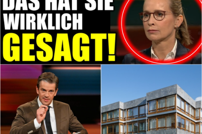 Gefahr für die Demokratie? Der umstrittene „Putsch“ am Bundesverfassungsgericht und die SPD-Richterwahl bei Markus Lanz