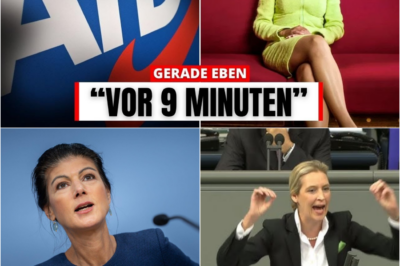 Politisches Beben in Deutschland: Sahra Wagenknecht verlässt BSW-Spitze – Entsteht jetzt die Mega-Allianz mit Alice Weidel?