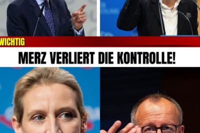 Politischer Tsunami in Berlin: 15 weitere CDU-Abgeordnete wechseln zur AfD – Merz vor dem Aus, Union in freiem Fall!