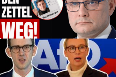 Wikipedia-Eklat im Live-TV: Wie Tino Chrupalla die arrogante Attacke einer Moderatorin eiskalt ins Leere laufen ließ