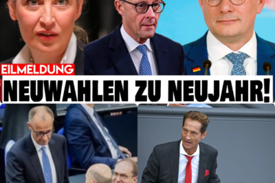 DIE WENDEBOTSCHAFT: Wenn die Masken der Macht fallen und die Wahrheit die deutschen Wohnzimmer erreicht