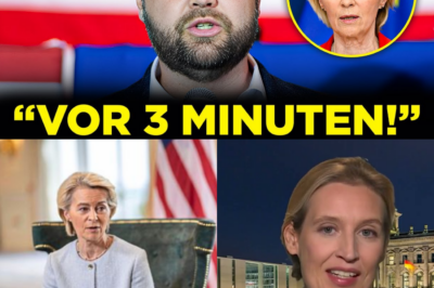 Das Ende der Illusionen: USA isolieren Europa, während Deutschland in die Krise taumelt