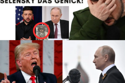 Der große Kuhhandel: Trump opfert die Ukraine für Venezuela – und Europa schaut machtlos zu