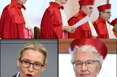 DAS DUELL IN KARLSRUHE: WIE RICHTERIN KÖNIG ALICE WEIDEL STELLEN WOLLTE UND DABEI EINE JURISTISCHE MEISTERLEISTUNG DER AFD-CHEFIN PROVOZIERTE