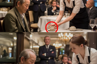 Alle übersahen den japanischen Milliardär – doch Japanisch einer Kellnerin machte ihn sprachlos dddddd