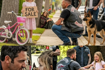 Kaufen Sie mein Fahrrad Herr Mama hat seit zwei Tagen nichts gegessen Die Biker erfuhren dieWahrheit ddddddd