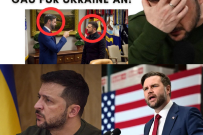 Der politische Super-GAU für die Ampel-Erben: JD Vance als Trumps Nachfolger nominiert – “Mir ist egal, was mit der Ukraine passiert!”