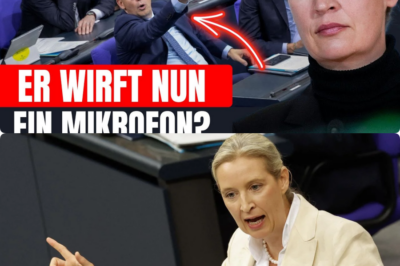 Historischer Eklat im Bundestag: Friedrich Merz verliert die Beherrschung und stürmt nach Weidel-Rede wutentbrannt aus dem Saal