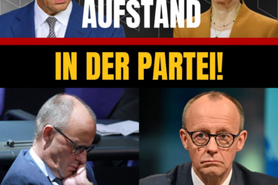 Palastrevolution in der Union: Friedrich Merz verliert die Macht über die eigene Partei – Der Anfang vom Ende der Kanzlerschaft?