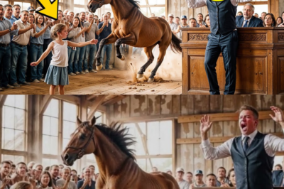 Auktionator wettet, dass niemand seinen Mustang zähmen kann – Doch ein kleines Mädchen tut es! dddd