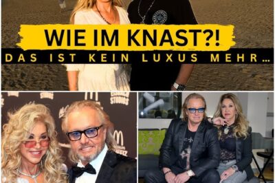 „Wie im Knast!“ – Blutiges Trauma und Stacheldraht: So radikal verbarrikadieren sich die Geissens nach dem Horror-Überfall