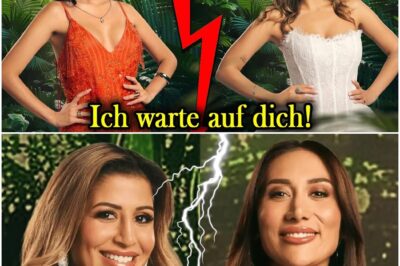 „Ein Stück Salami“ und eine eiskalte Überraschung: Samira Yavuz rüstet sich für den explosivsten Dschungel-Showdown aller Zeiten gegen Eva Benetatou
